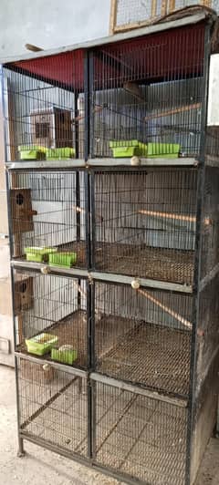 8 Portion  Birds Cage