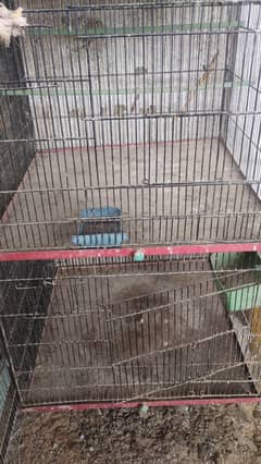 CAGES FOR SALE