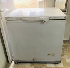 Dawlance Single Door Deep Freezer