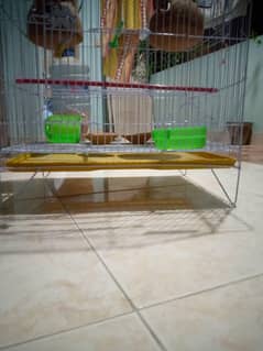 bird cage