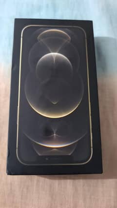iPhone 12 Pro