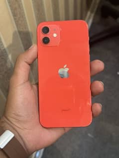 Iphone 12 Pta Approved