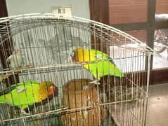 green