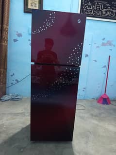 Pel Freezer