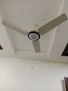 ceiling fan 03186077692