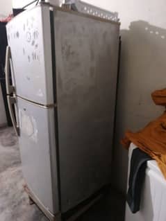pell good condition hy