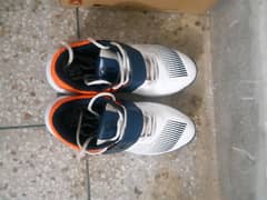 M8 SPIKES