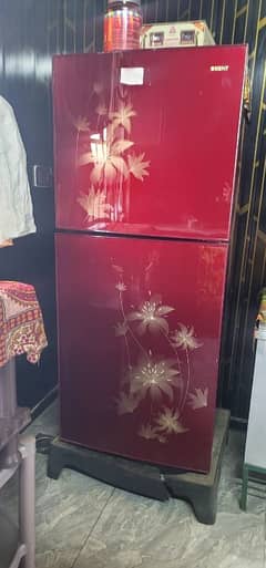 refrigrator orient codetion 10/10