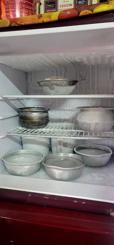 refrigrator orient codetion 10/10 2