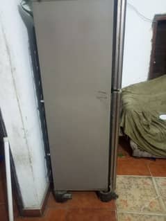 pel fridge for looking like a new