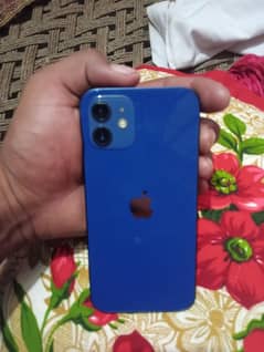 iphone 12 jv 64 gb best for PUBG and TikTok urgent sale
