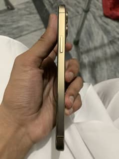 Iphone 12 pro max pta approved