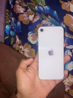 iPhone Se 3
