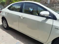Toyota Corolla GLI 2019