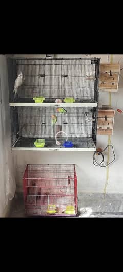 foldable Cages