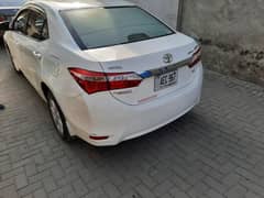 Corolla