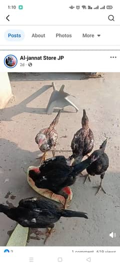 For