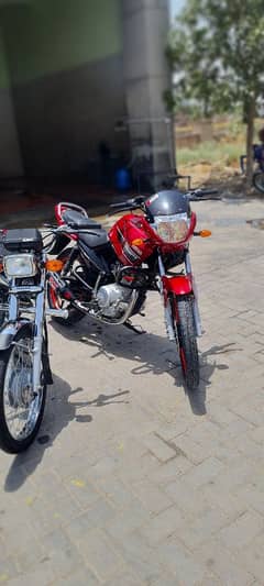 ybr