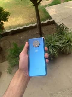 One plus 7t pta approved