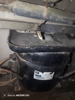 Indesit medium Siza Fridge