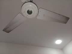 celling .  fan