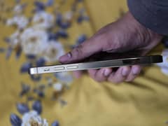 iphone 12pro pta approved
