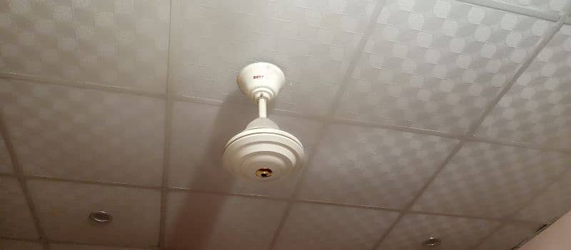 Royal Ac/Dc Fan - Ceiling Fans - 1102437427
