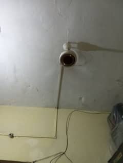 celling fans