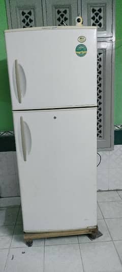 LG jumbo size for sale