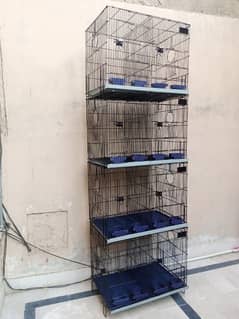 Birds Cage