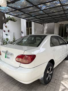 Corolla xli