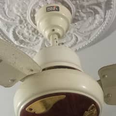 AC DC Fan / AC/DC Celing Fan