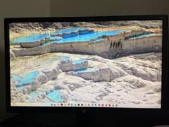 HP v243 Monitor 1080p 60hz