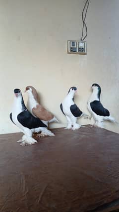 lahore