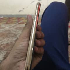 Iphone 11 pro non pata