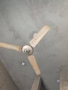 Ceiling Fan big size