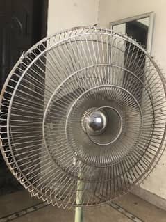 Falcon fan