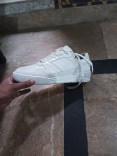 size 42 . . . . But even those with a size 41 will fit.