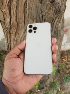 Iphone 12 pro (Approved)