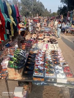 chapal business
