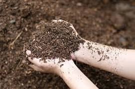 Vermicompost - AdroidOnic