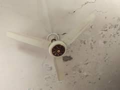 ceiling