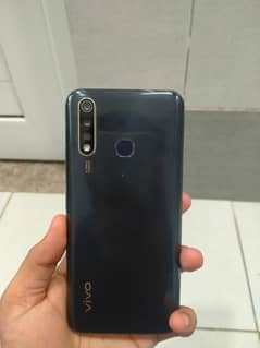 vivo