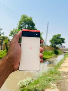 Google pixel 6 PTA Approved
