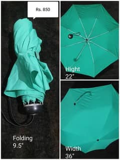 Umbrella