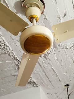 Ceiling Fan
