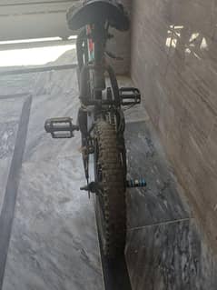 cycle