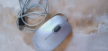 computer mouse