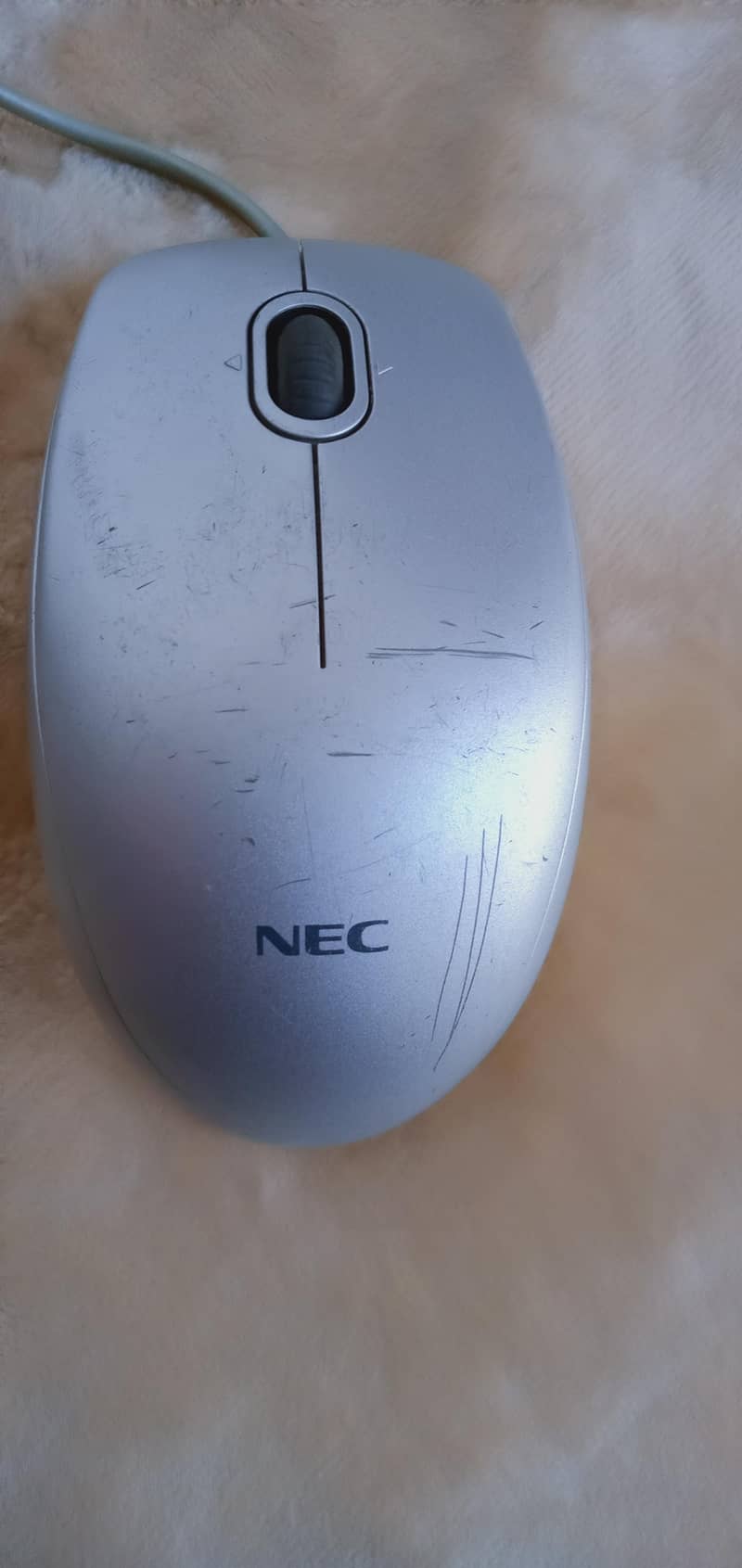 computer mouse 1
