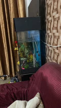 Fish tank